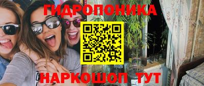 PSILOCYBIN Новоалександровск