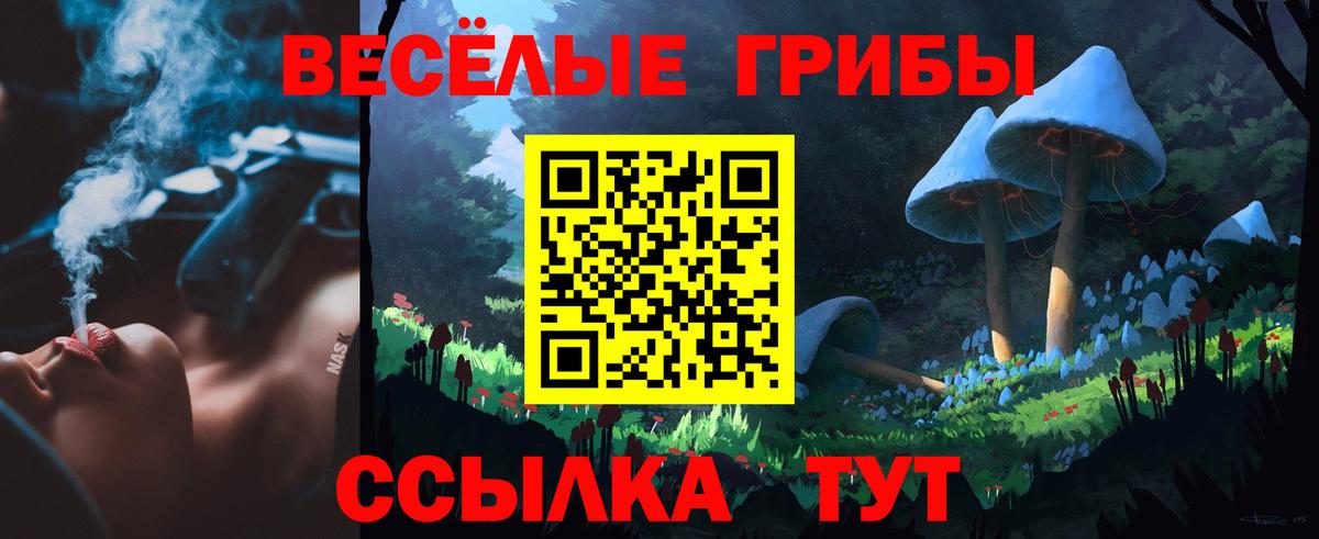 Псилоцибиновые грибы MAGIC MUSHROOMS  Вход с VPN  где продают   Лабытнанги 